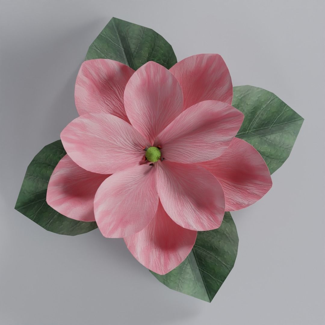 3D Magnolia Flower Model - Blender Low-poly 3D model_1
