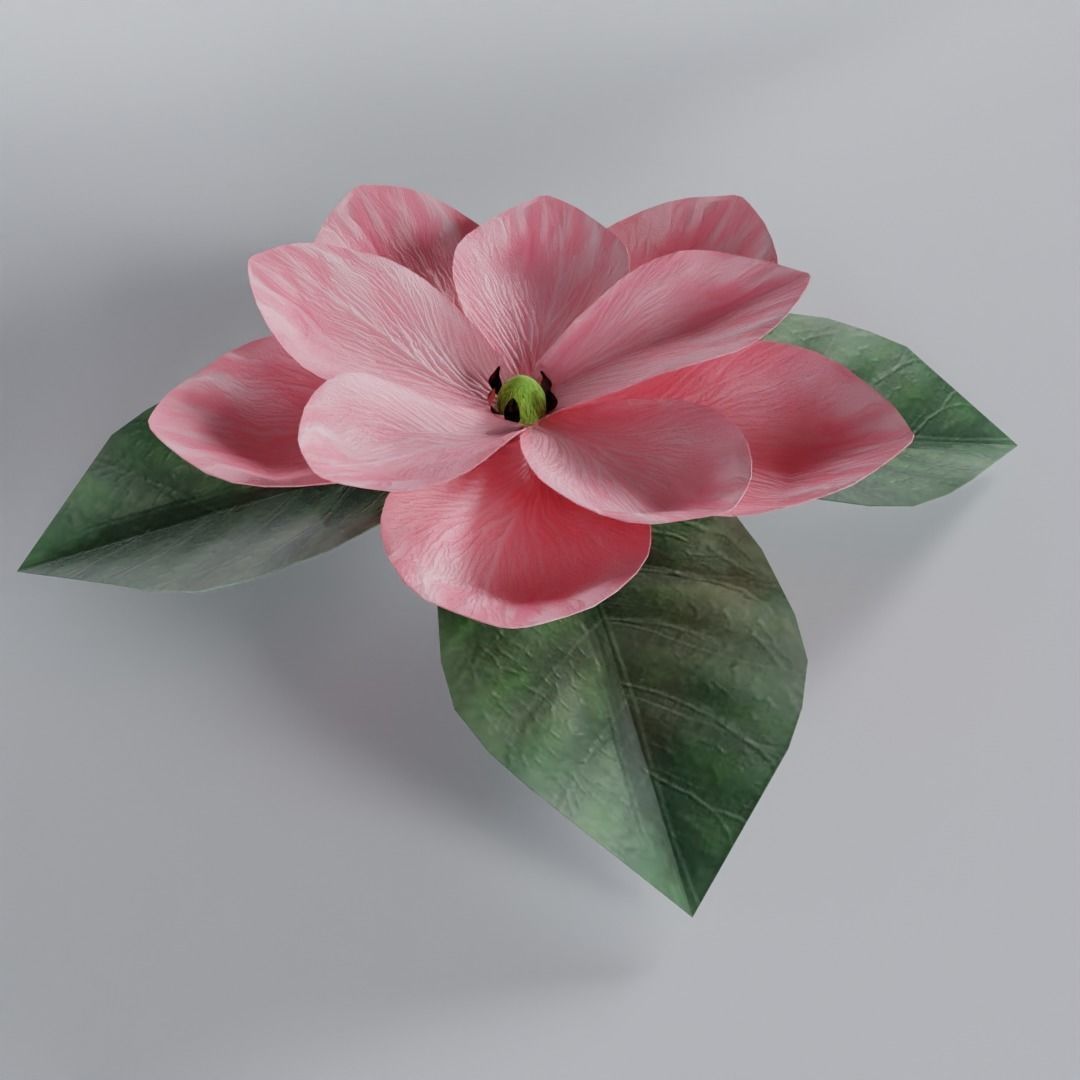 3D Magnolia Flower Model - Blender Low-poly 3D model_2