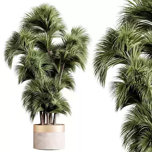 Indoor plants 86 - Plant in pot 3D model