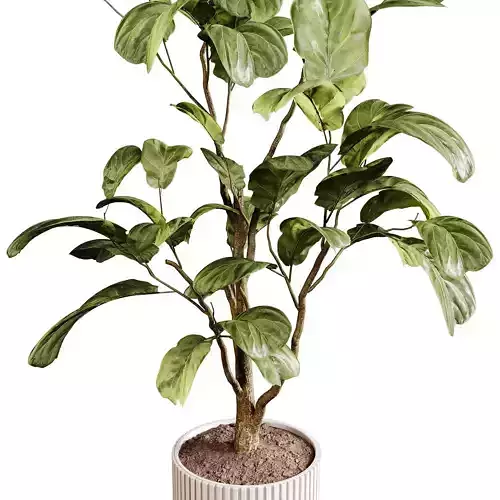  Indoor plants 88 - Plant in pot 3D model