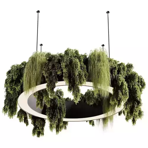 indoor plants 92- Hanging indoor plant