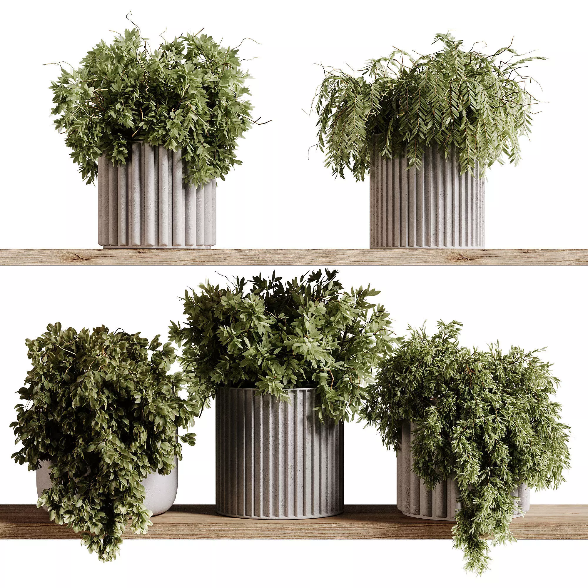 indoor plants 97- Hanging indoor plan 3D model