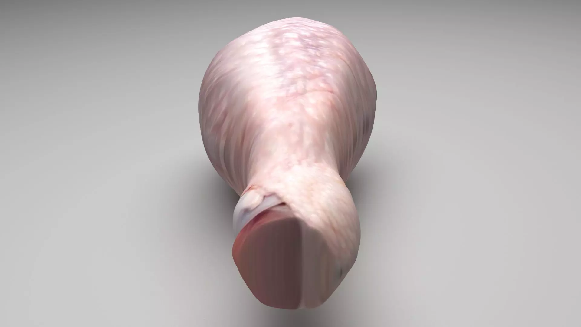 Chicken Drumstick 3D model