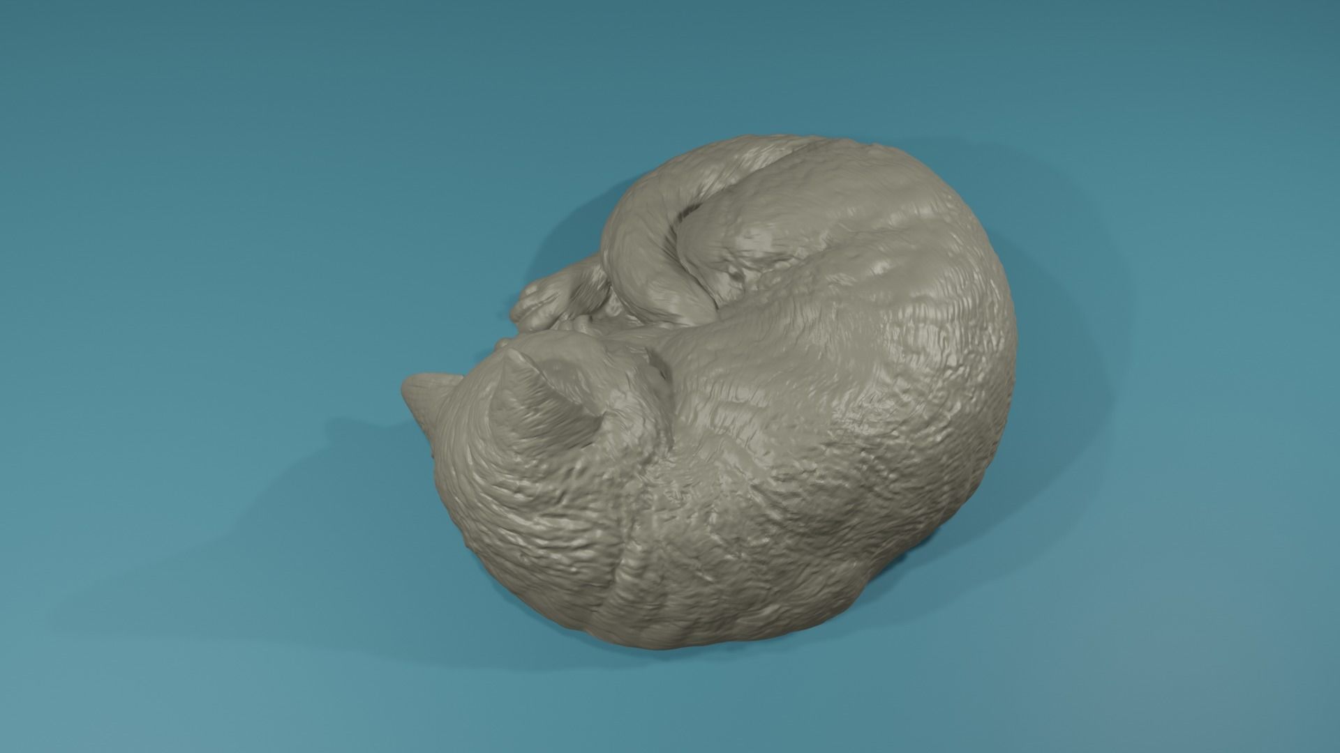 Realistic highpoly Housecat Pet Feline Cat Animal 3D print model_6