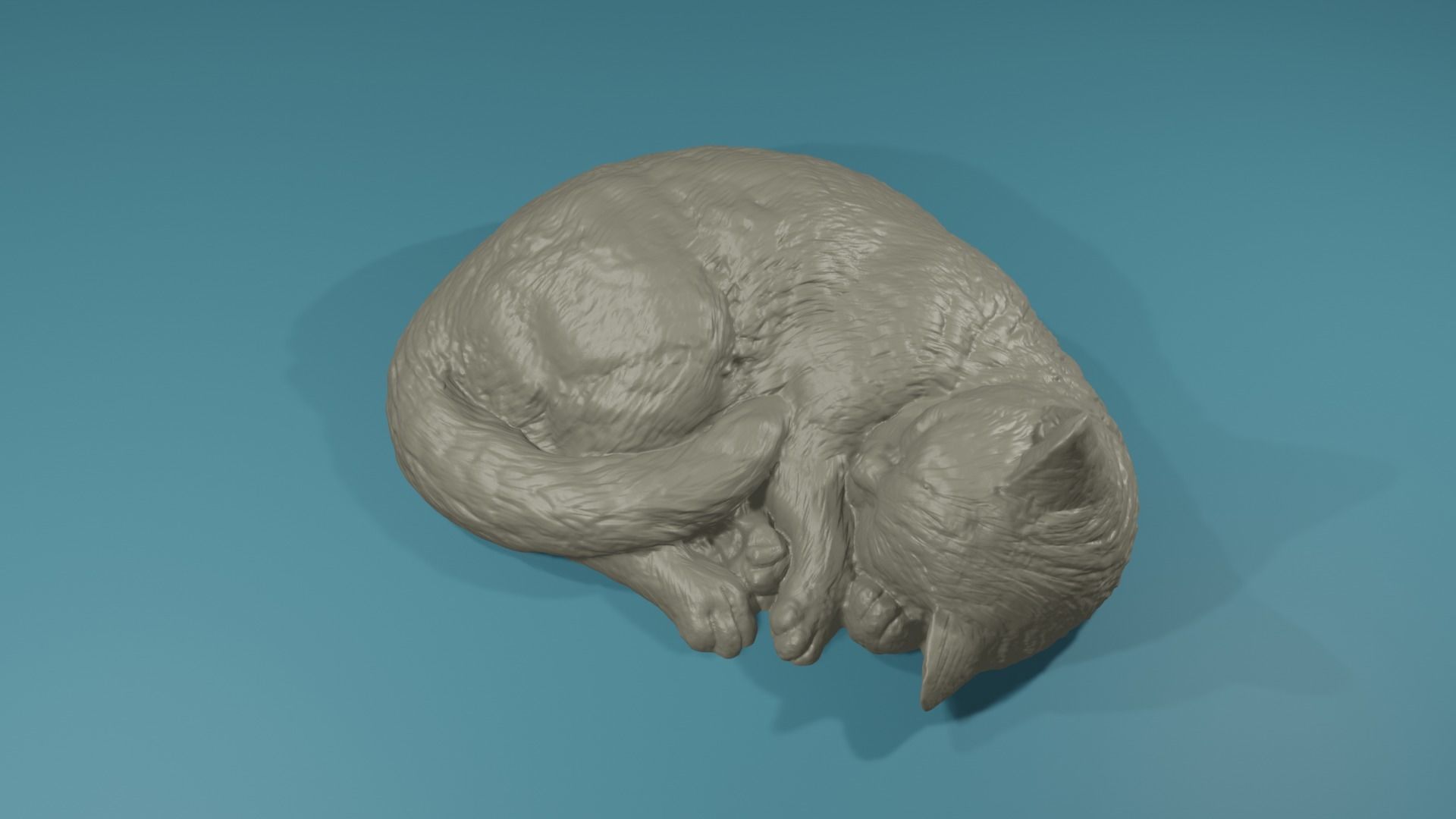 Realistic highpoly Housecat Pet Feline Cat Animal 3D print model_4