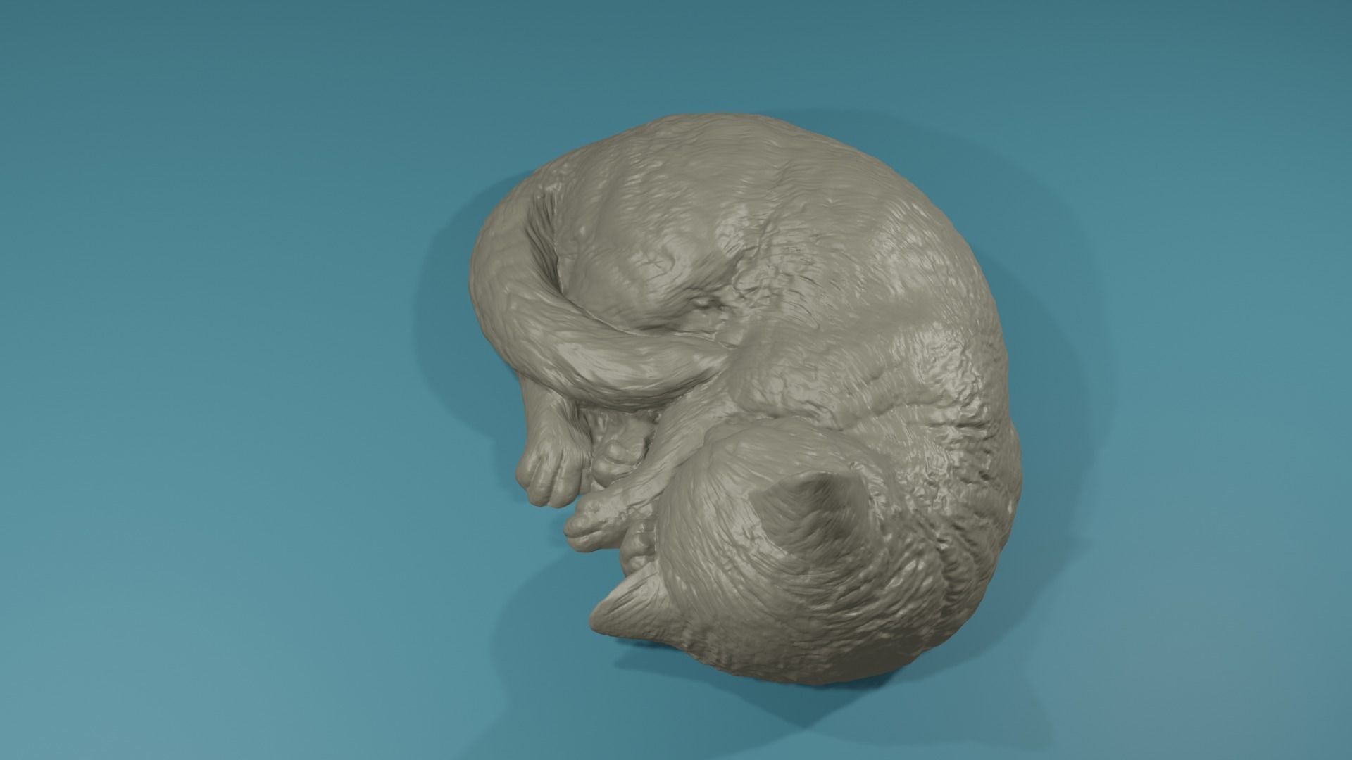 Realistic highpoly Housecat Pet Feline Cat Animal 3D print model_5