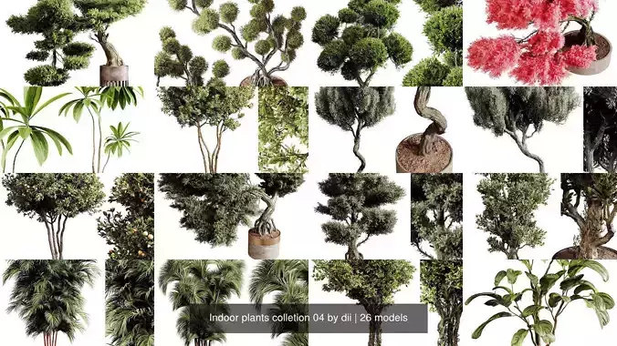 Indoor plants colletion 04 by dii 3D Model Collection