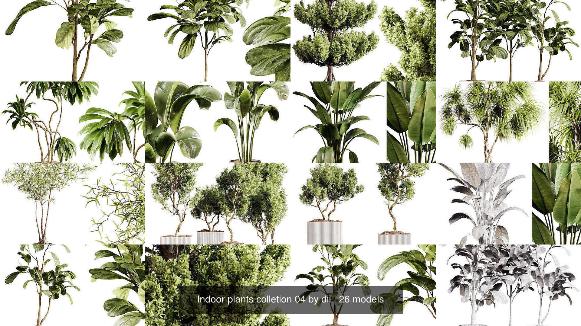 Indoor plants colletion 04 by dii 3D Model Collection_2