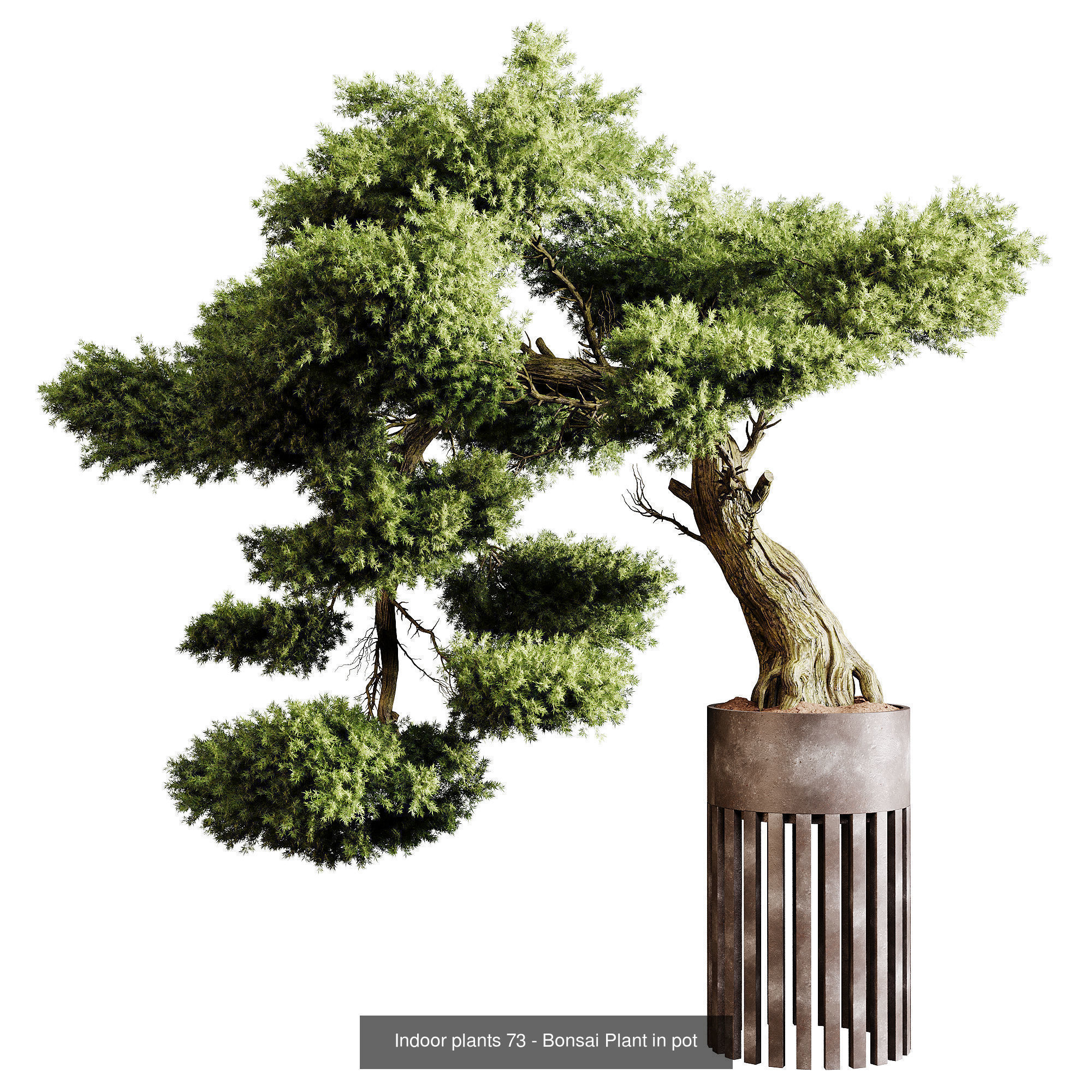 Indoor plants colletion 04 by dii 3D Model Collection_3