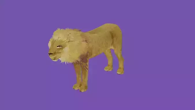 tiger lowpoly 3d model