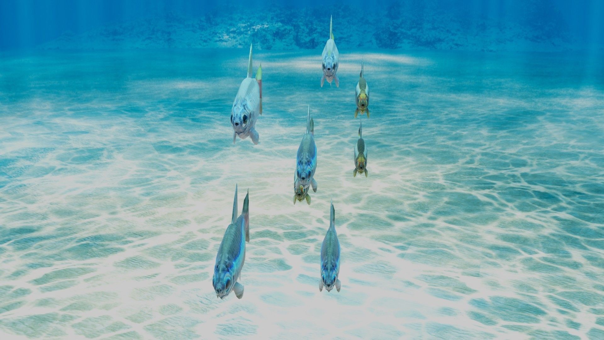 Neon Tetra Fish 3D model_2