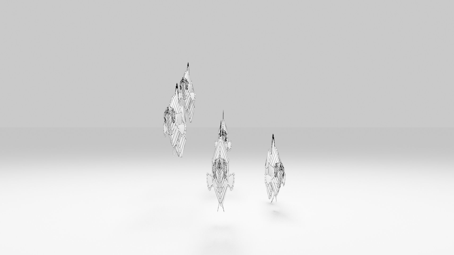 Platy Fish Free 3D model_6