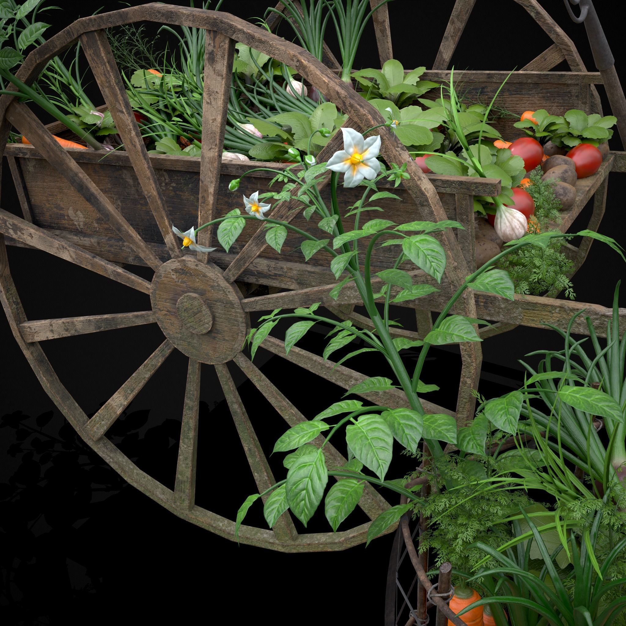 Crops and Wheelbarrow 3D Model Collection_38
