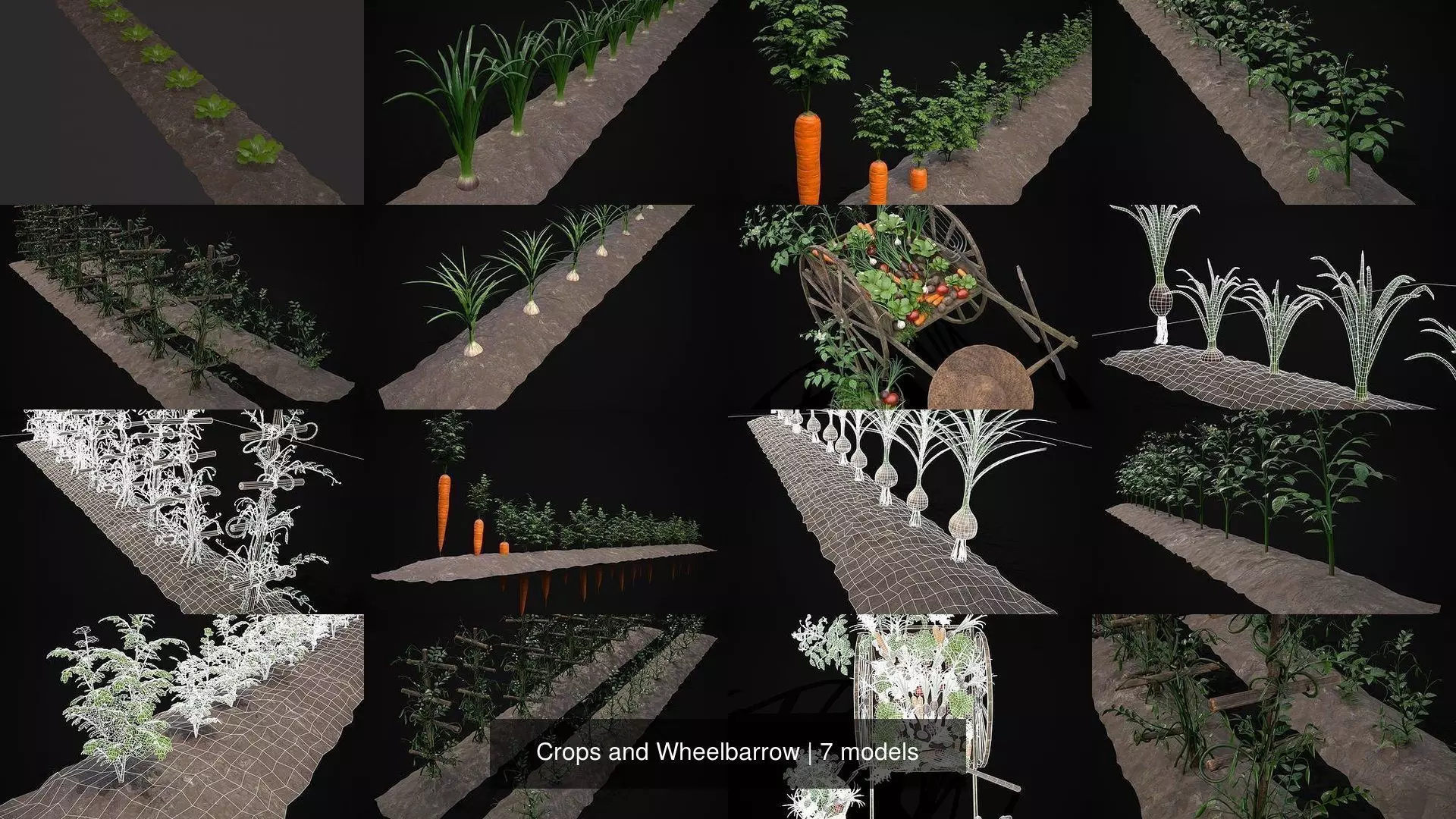 Crops and Wheelbarrow 3D Model Collection_1