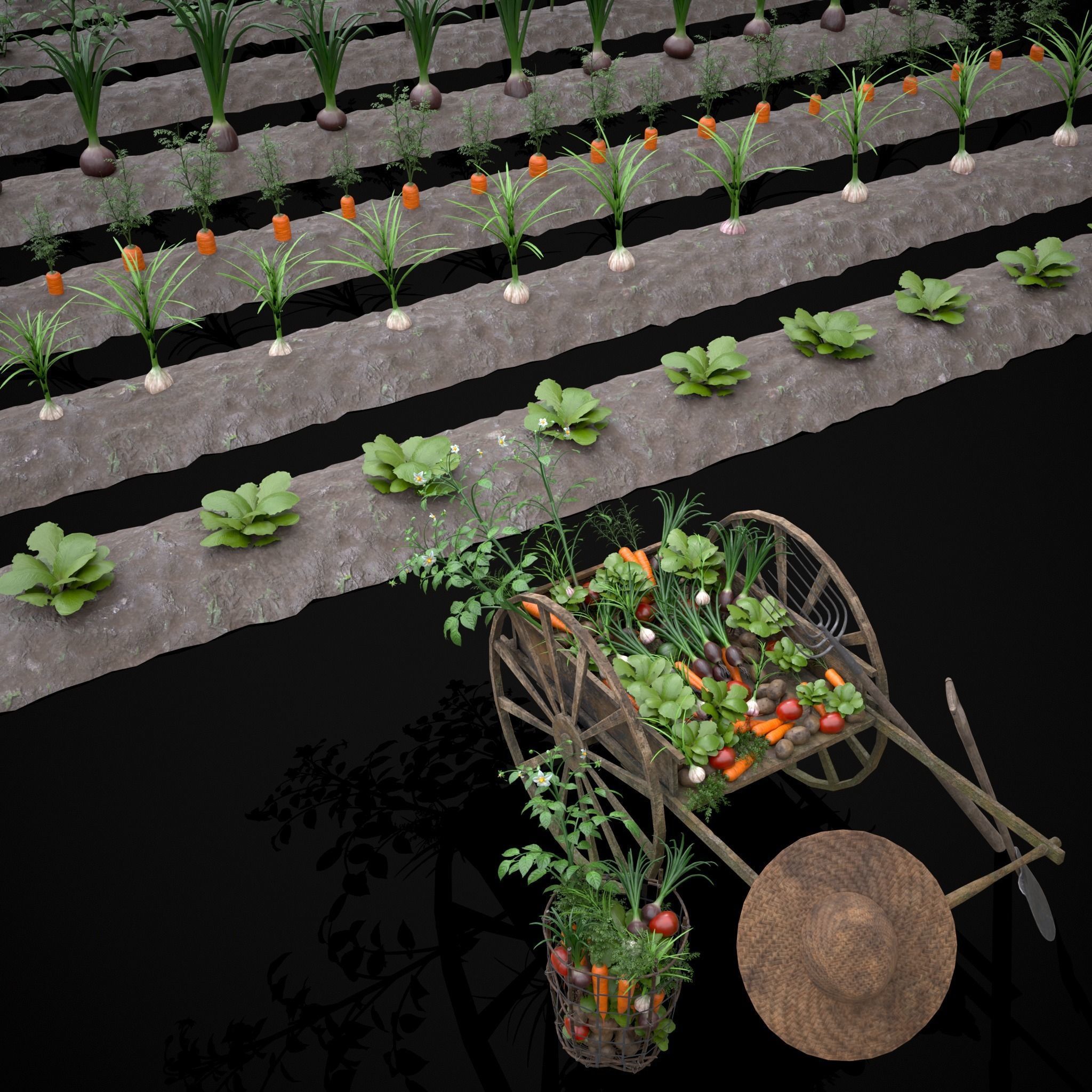 Crops and Wheelbarrow 3D Model Collection_3
