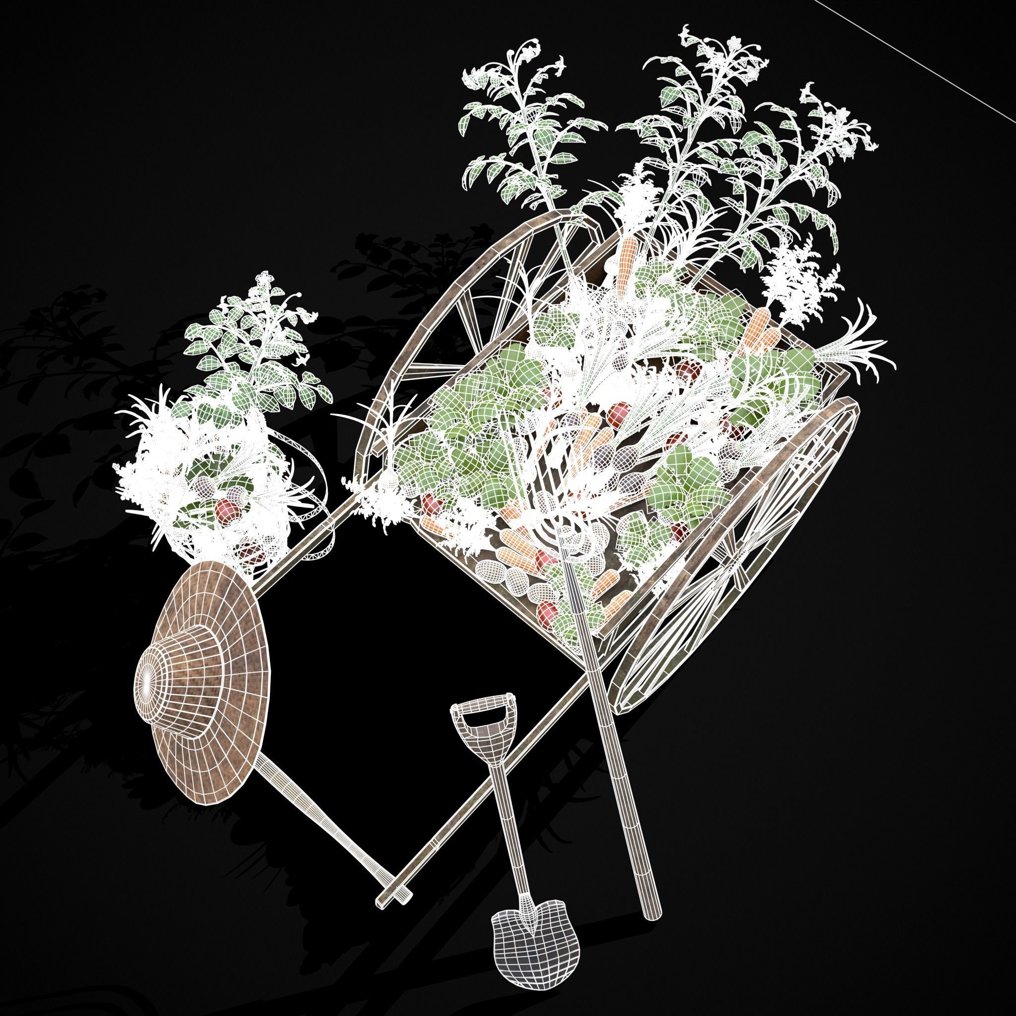 Crops and Wheelbarrow 3D Model Collection_33