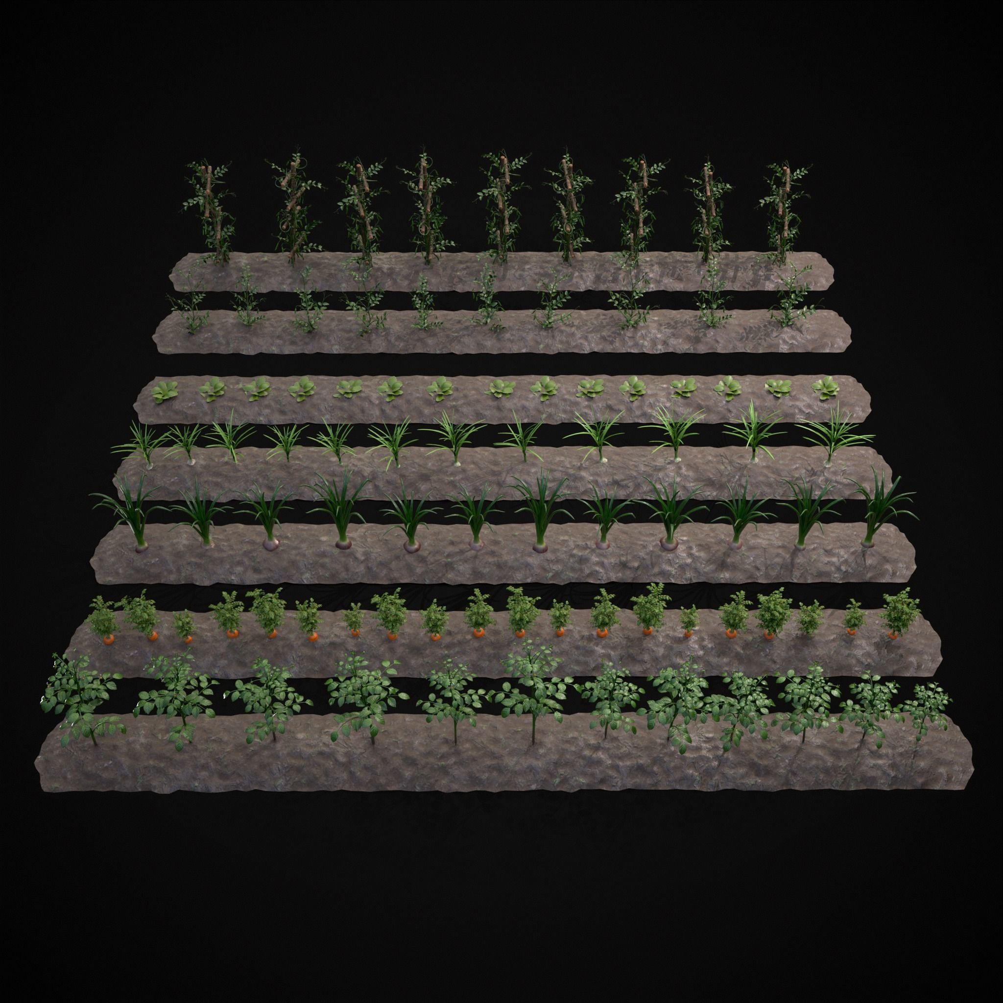 Crops and Wheelbarrow 3D Model Collection_48