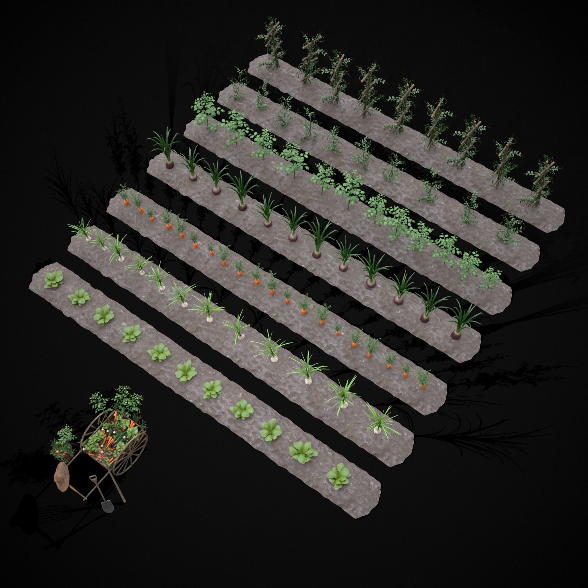 Crops and Wheelbarrow 3D Model Collection_10