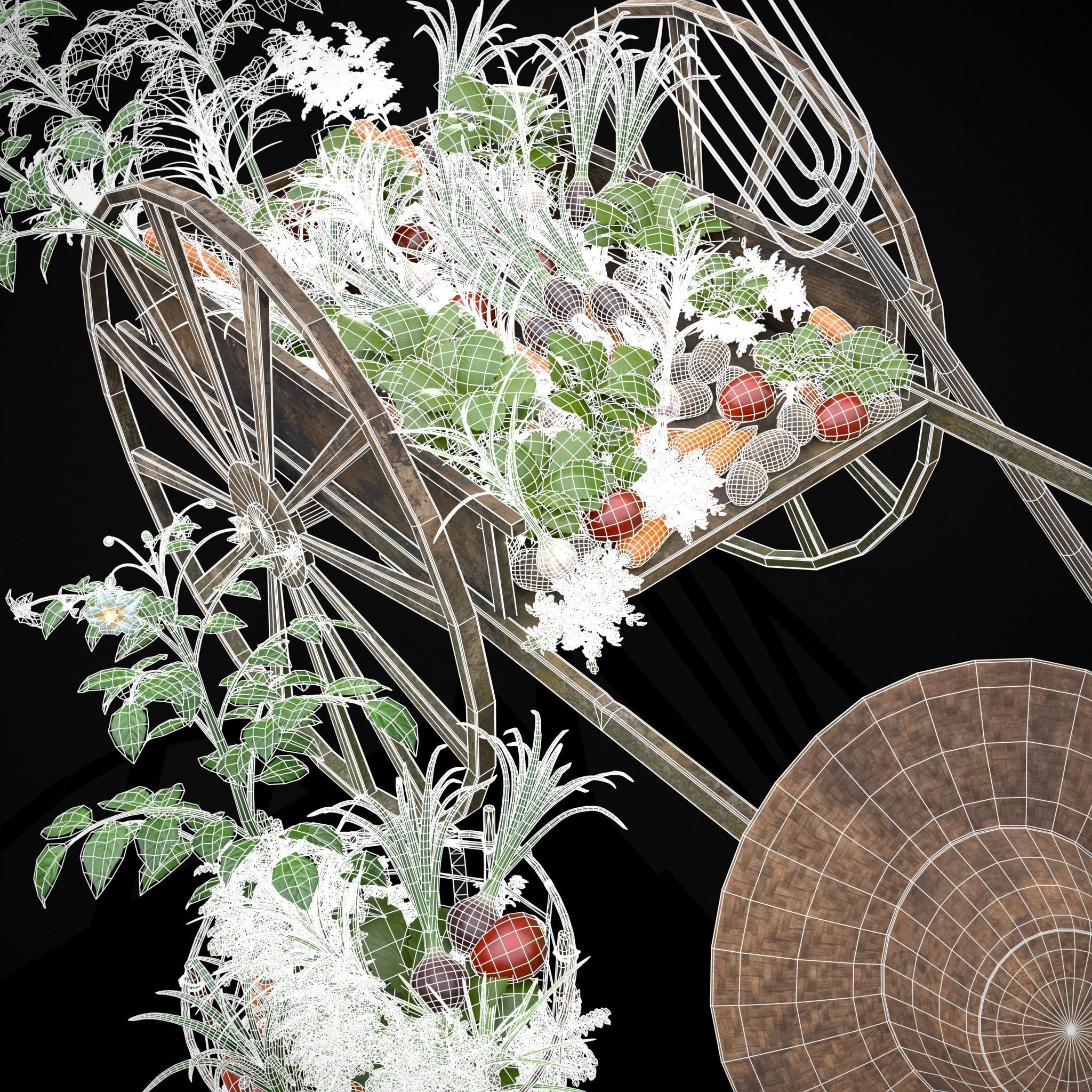 Crops and Wheelbarrow 3D Model Collection_21