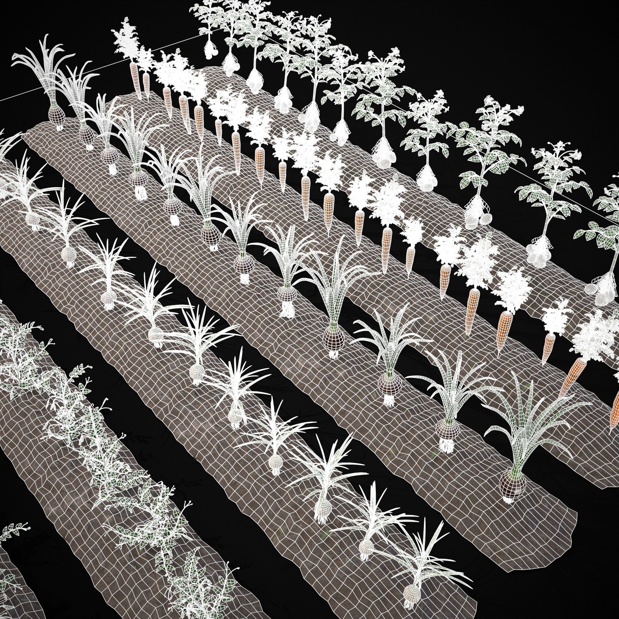 Crops and Wheelbarrow 3D Model Collection_55