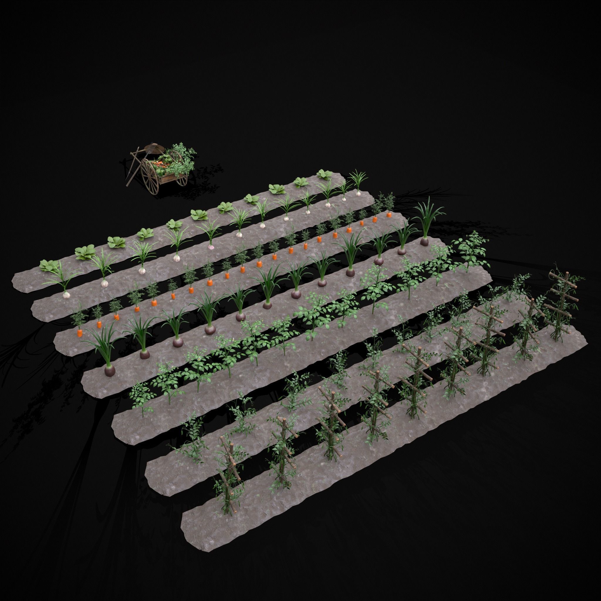 Crops and Wheelbarrow 3D Model Collection_9
