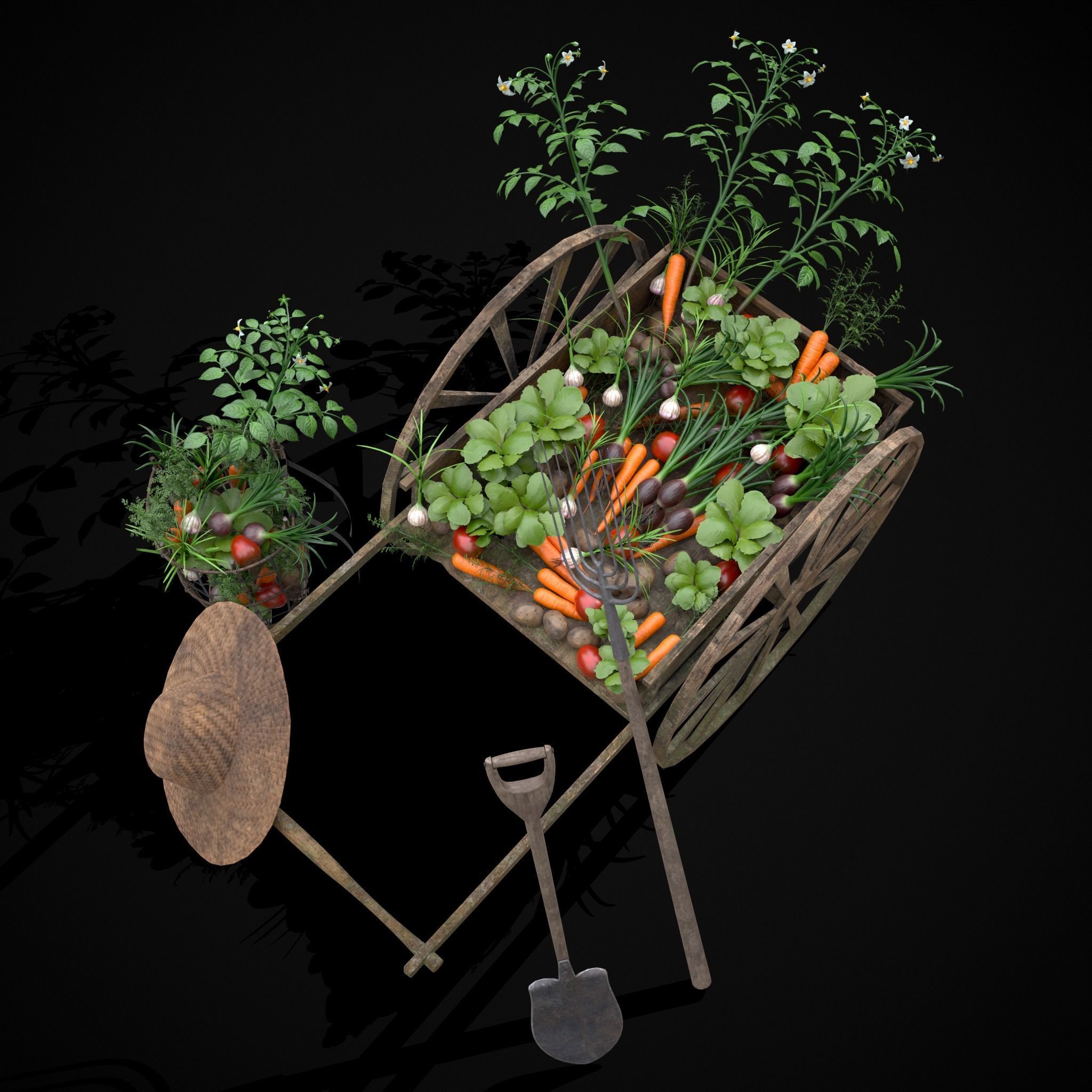 Crops and Wheelbarrow 3D Model Collection_32
