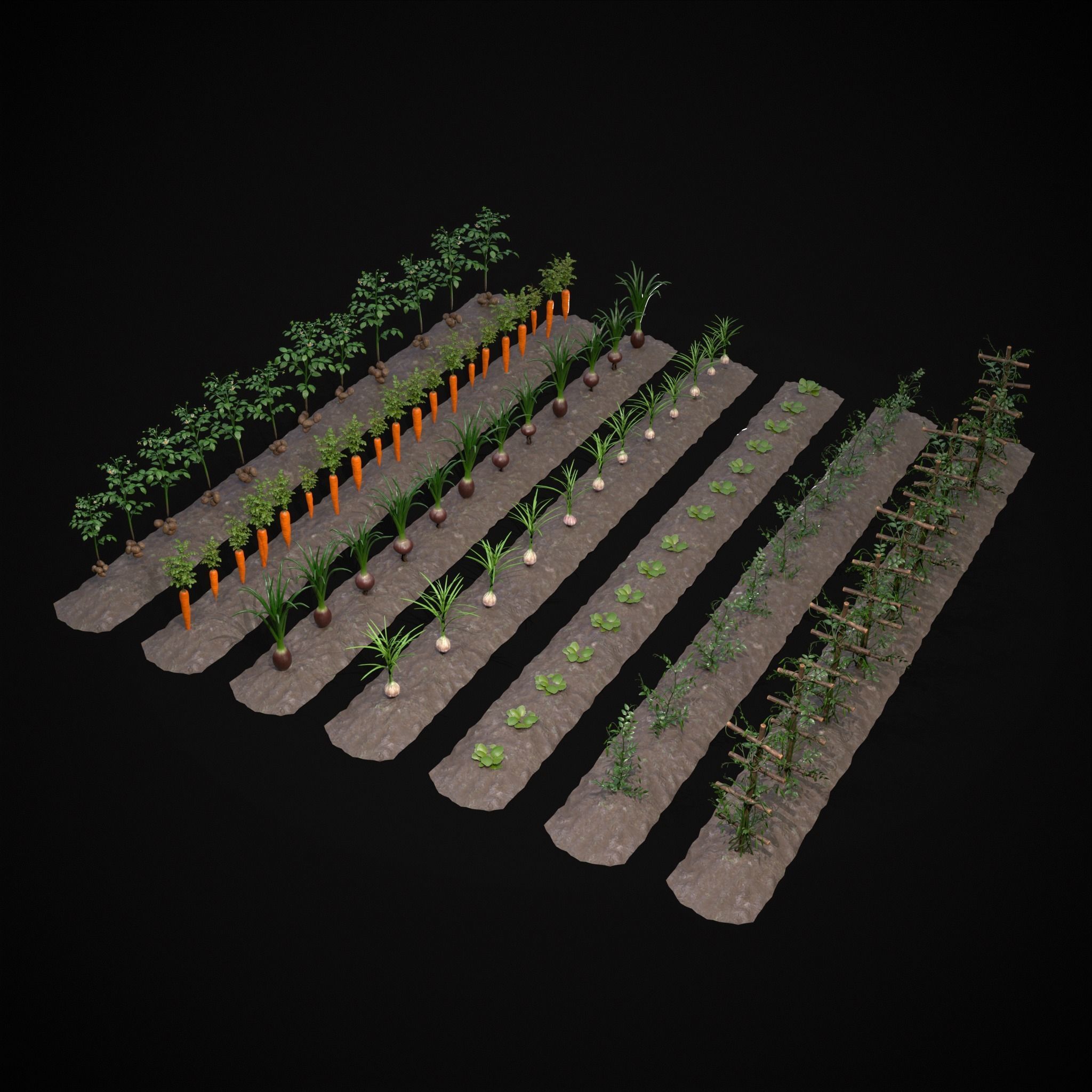 Crops and Wheelbarrow 3D Model Collection_64