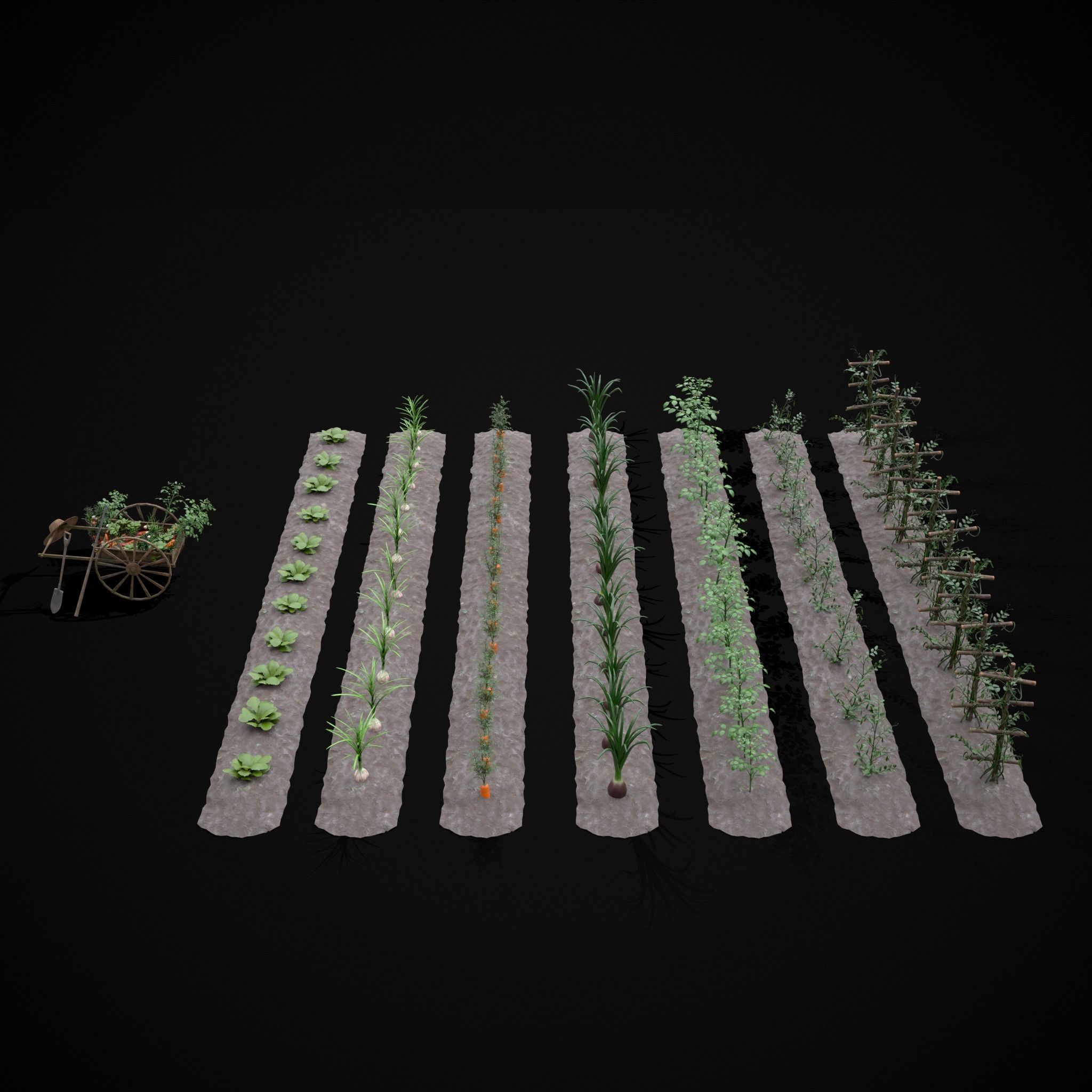 Crops and Wheelbarrow 3D Model Collection_11