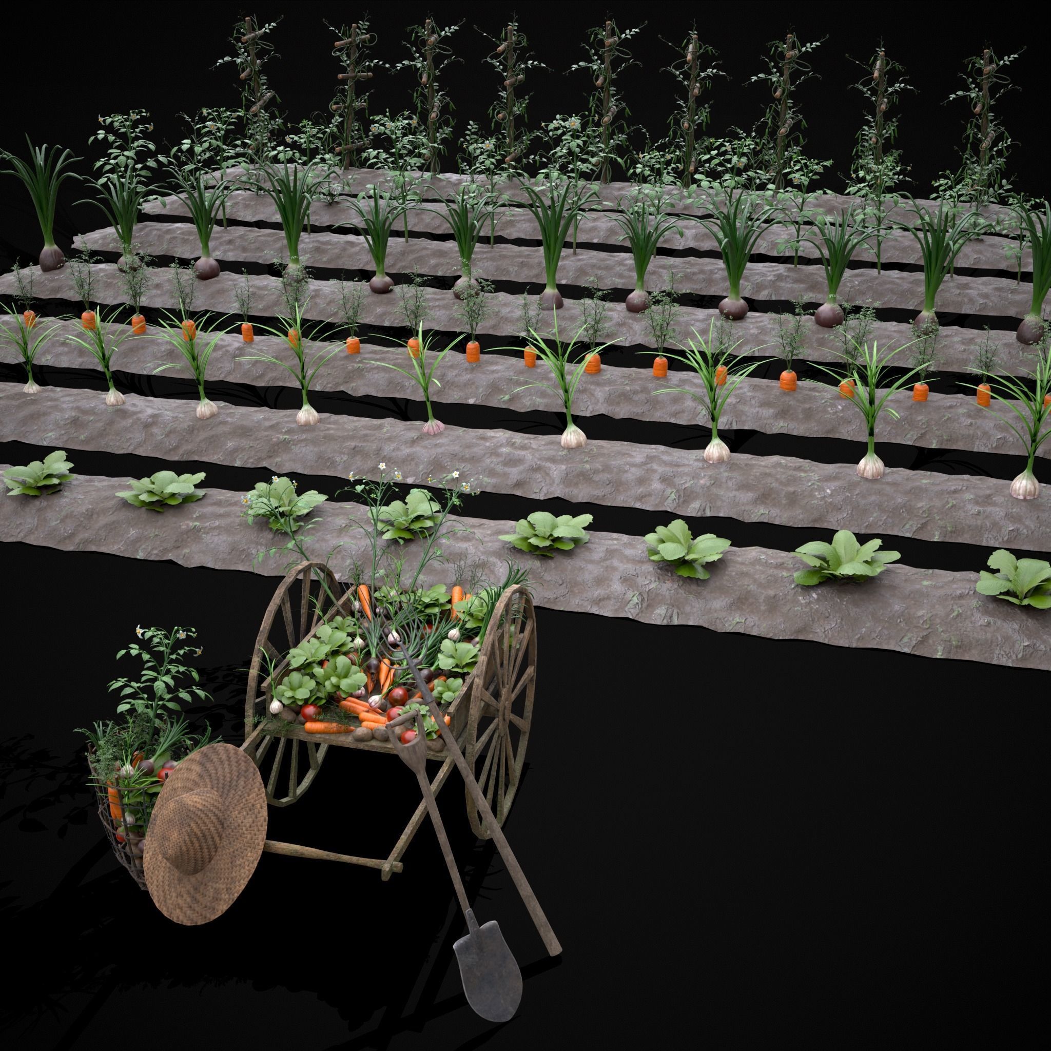 Crops and Wheelbarrow 3D Model Collection_5