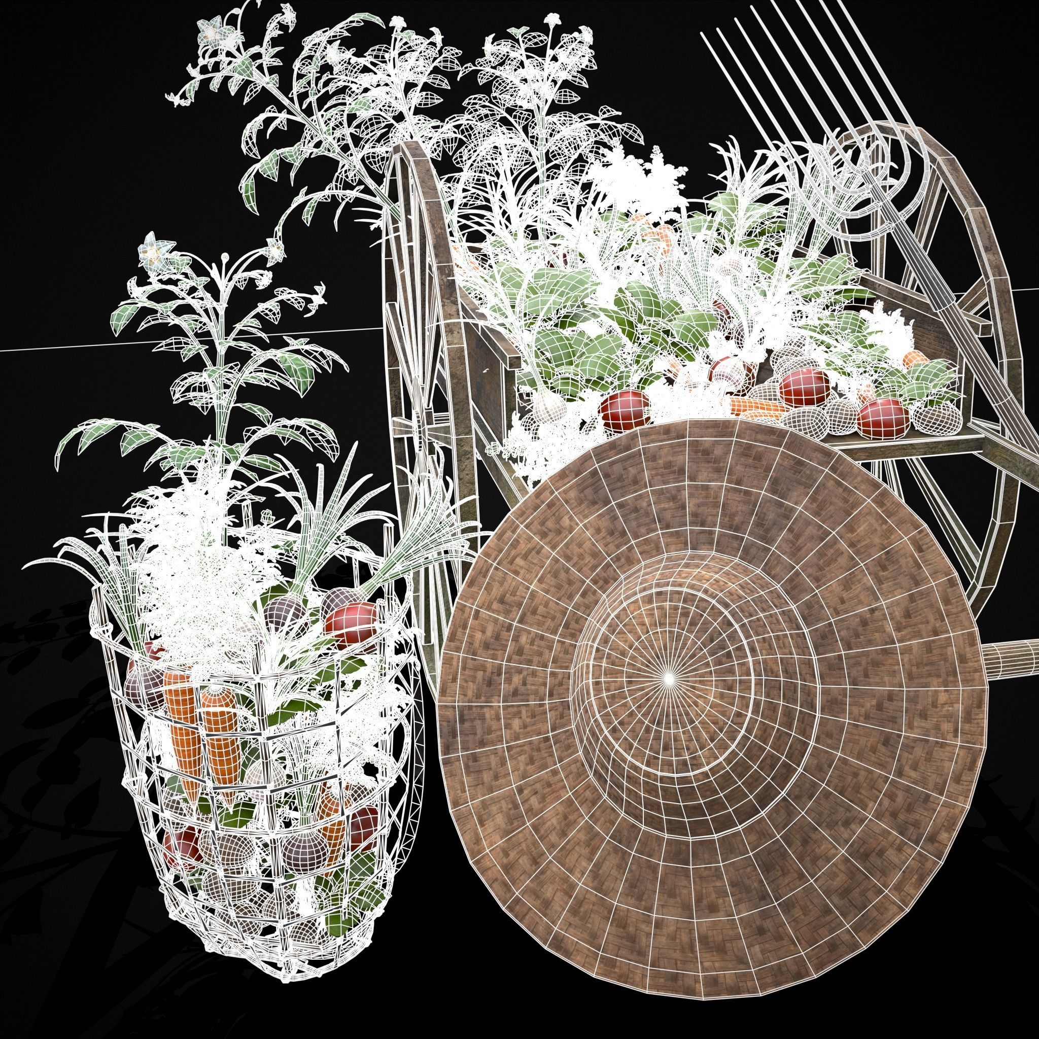 Crops and Wheelbarrow 3D Model Collection_31