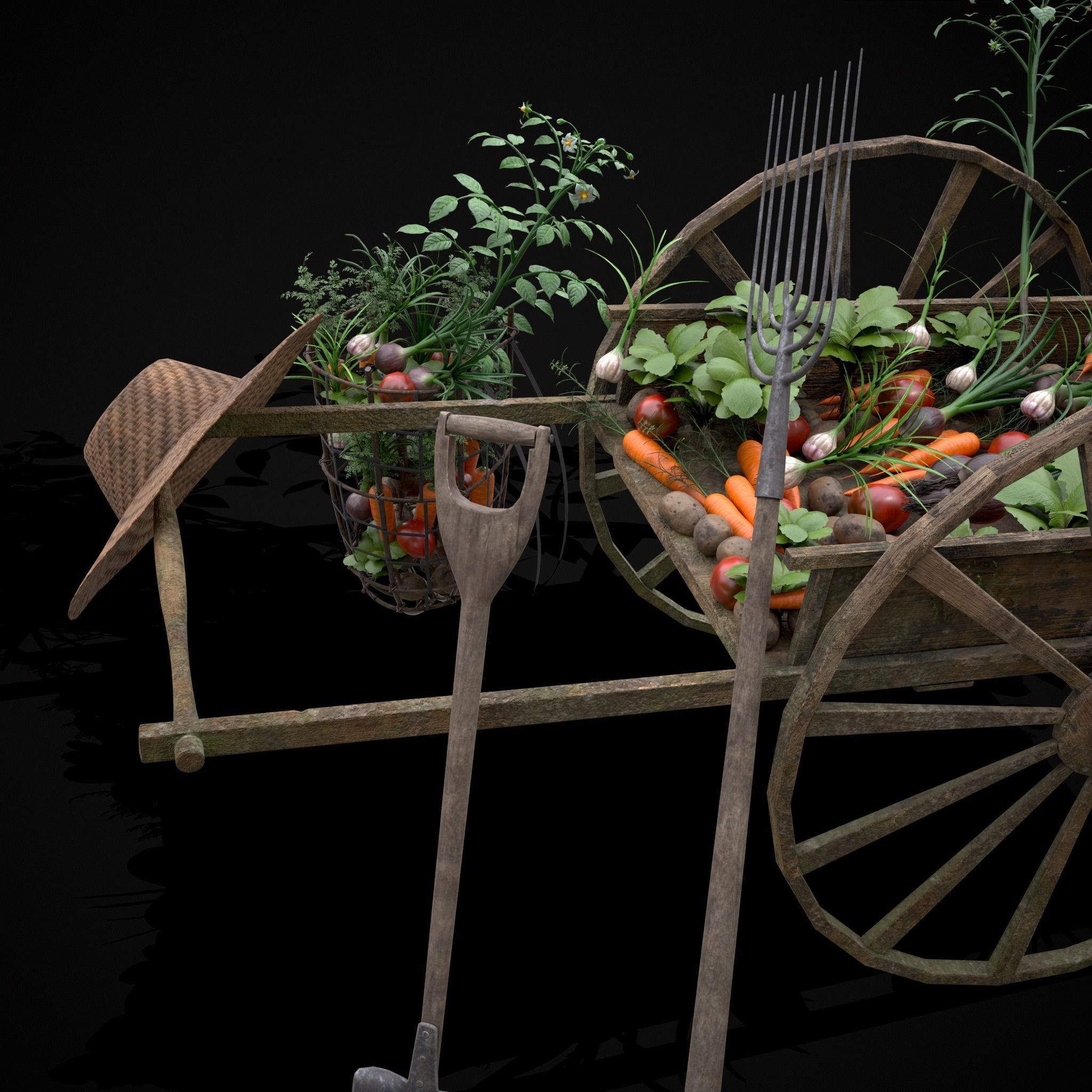 Crops and Wheelbarrow 3D Model Collection_40