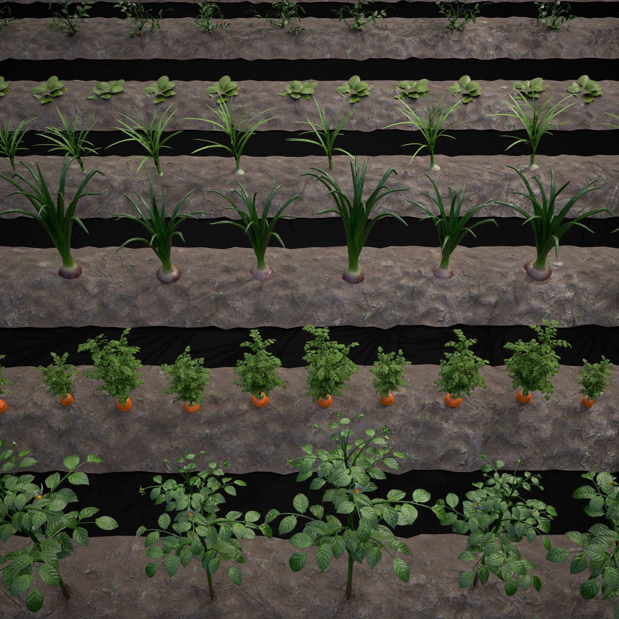 Crops and Wheelbarrow 3D Model Collection_60