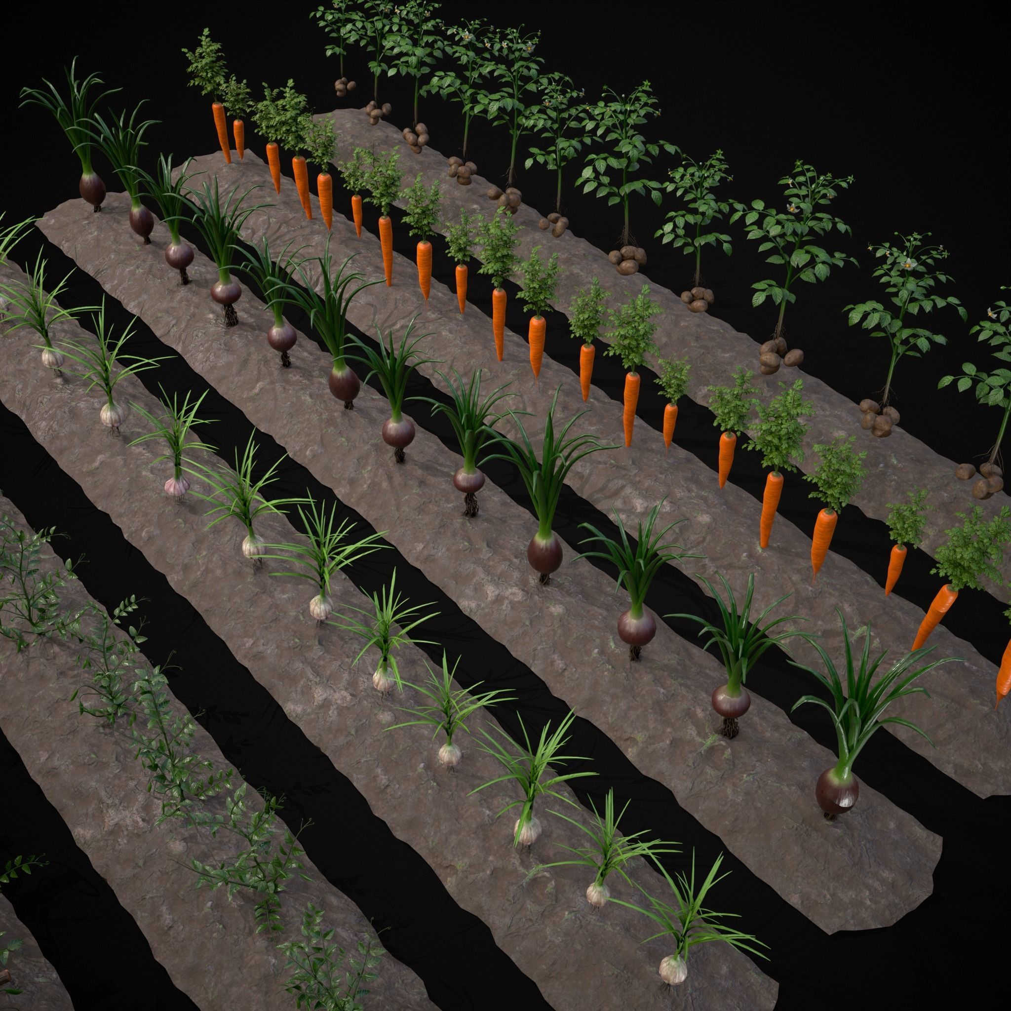 Crops and Wheelbarrow 3D Model Collection_54