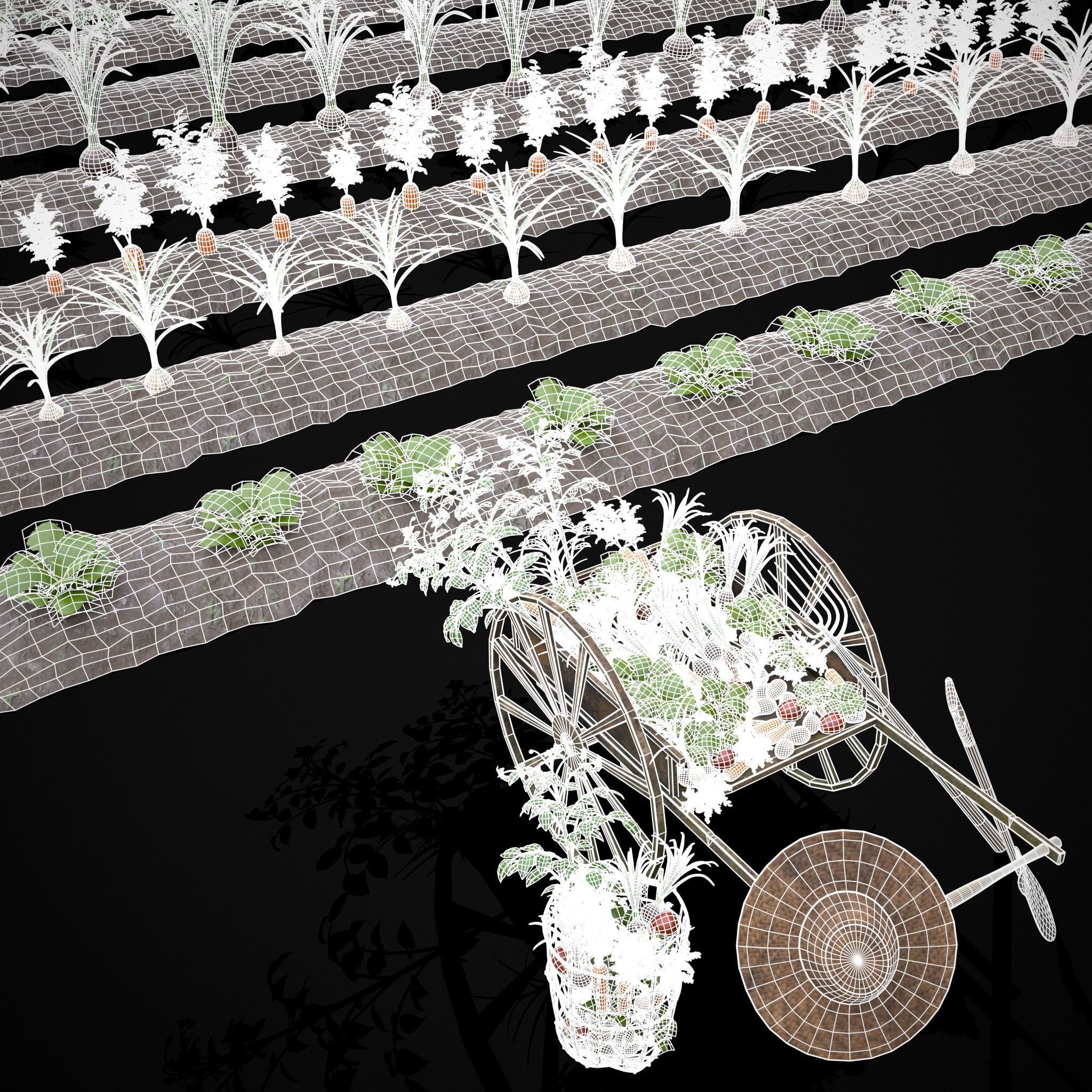 Crops and Wheelbarrow 3D Model Collection_4