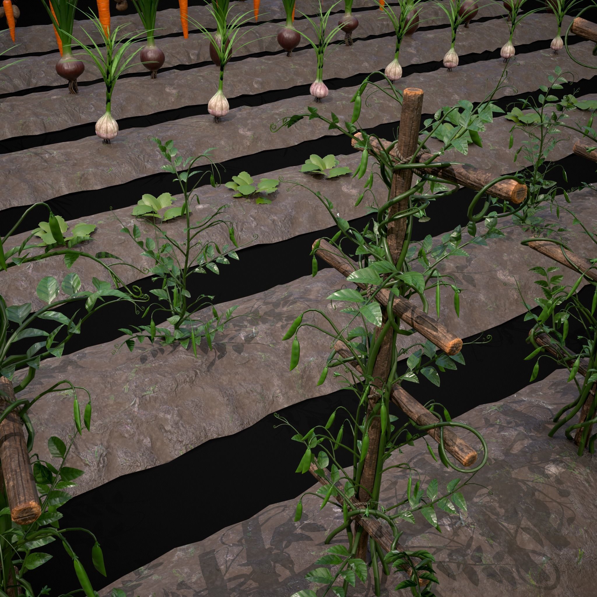 Crops and Wheelbarrow 3D Model Collection_67