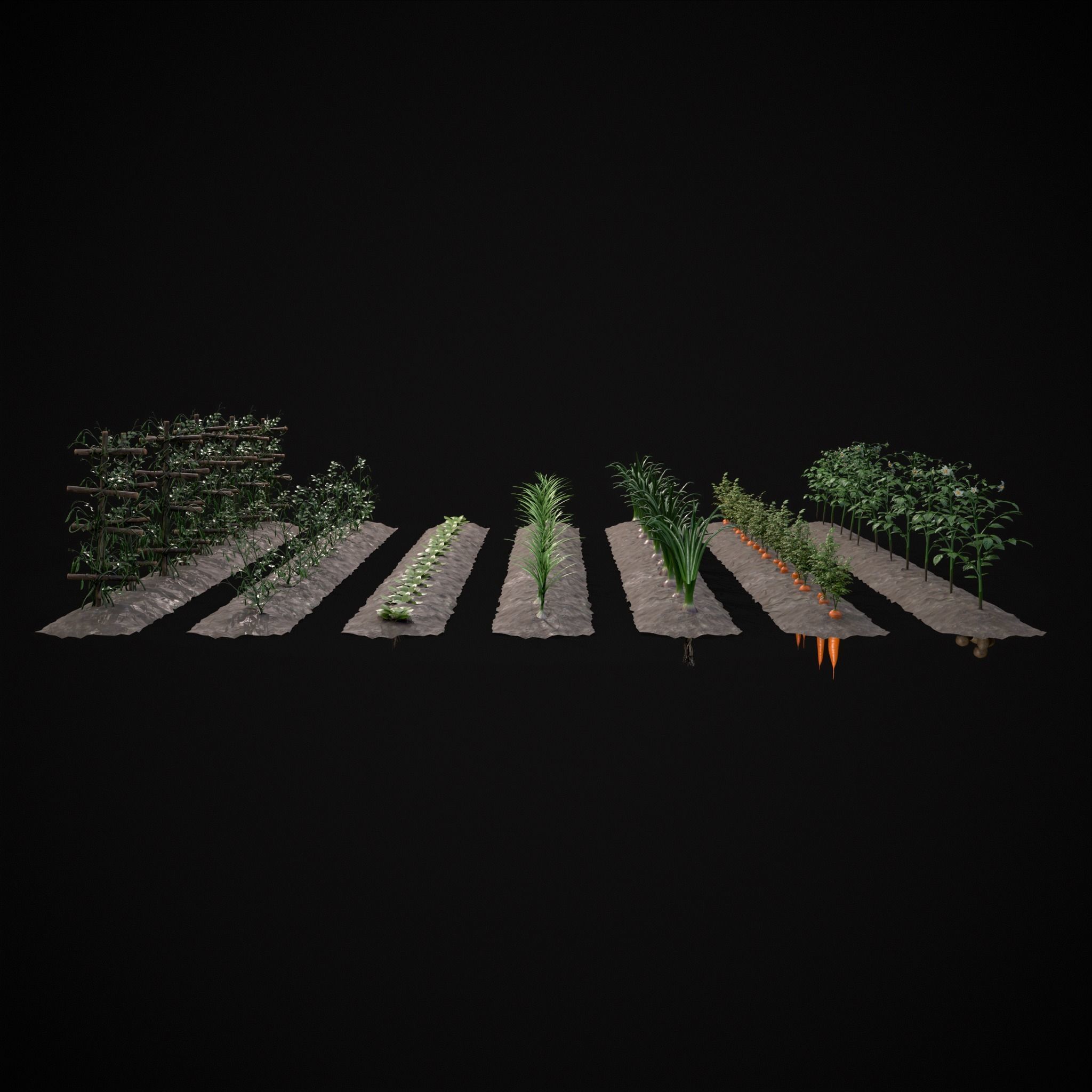 Crops Wheelbarrow and Plow 3D Model Collection_22