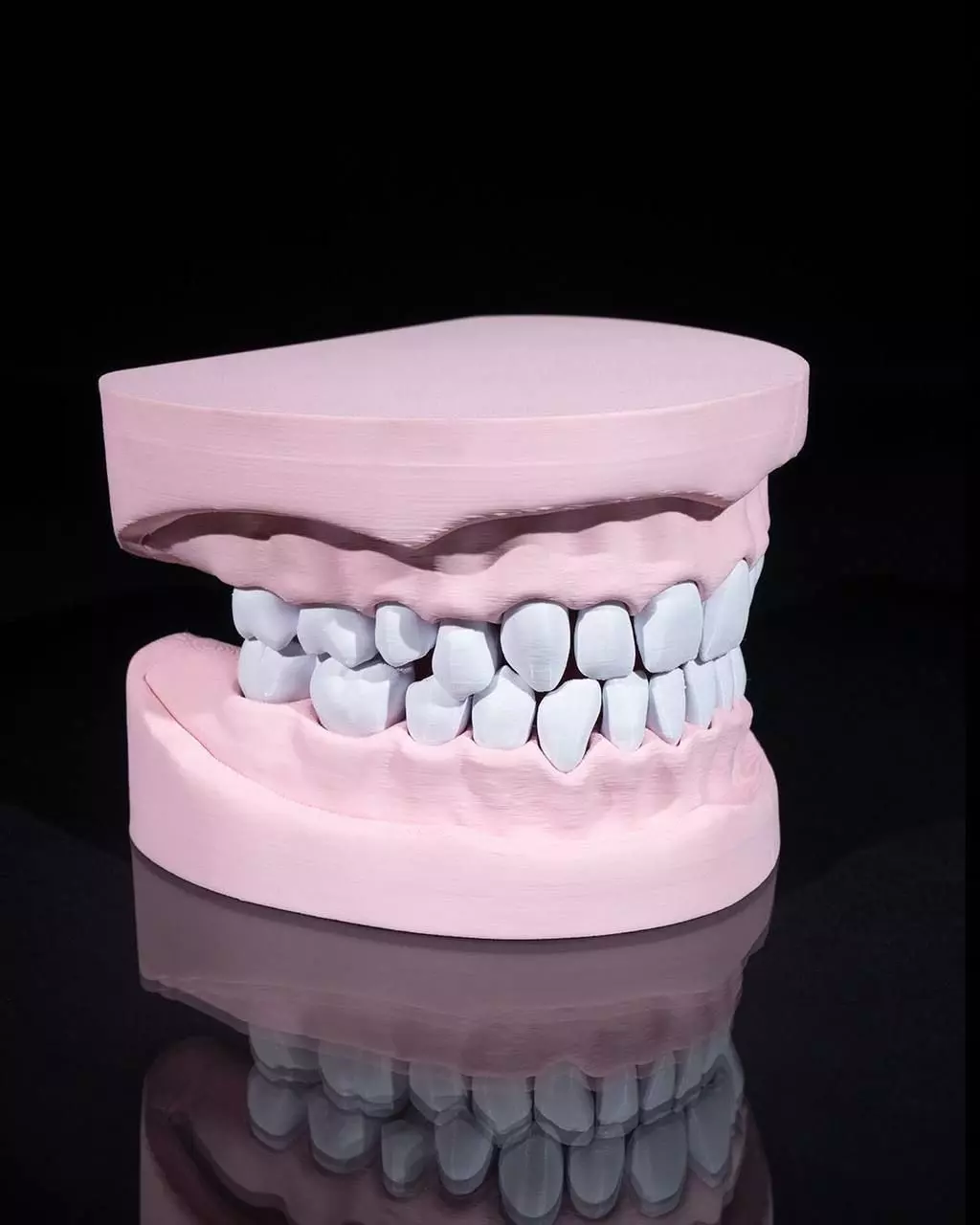 Jaw with teeth and gum 3D print model