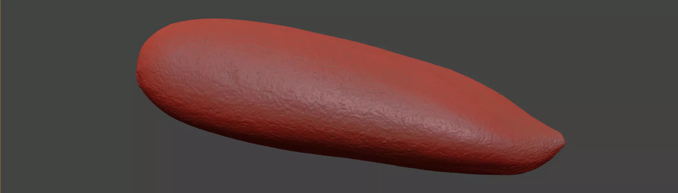 Pine Seed 3D model_7