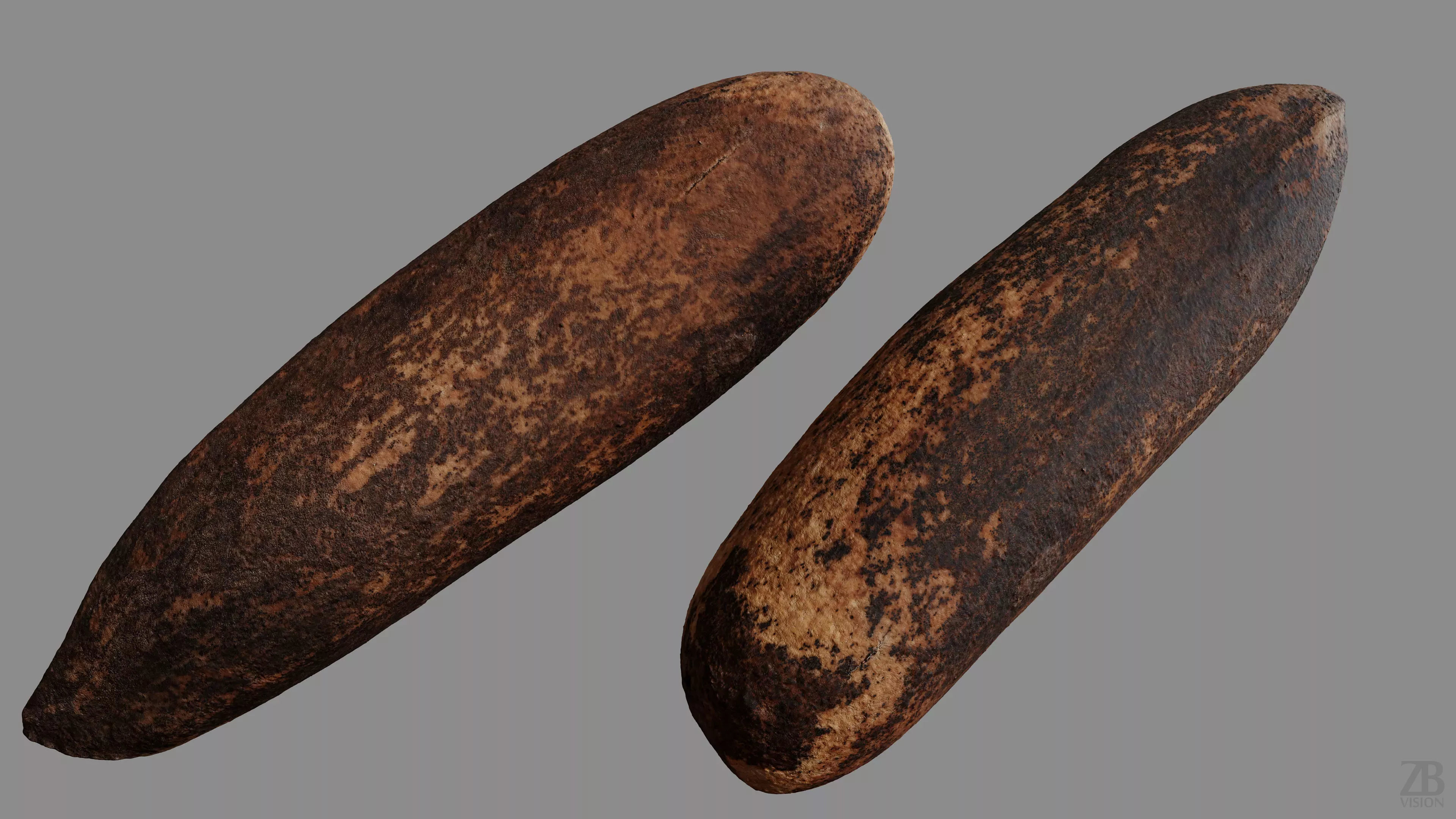 Pine Seed 3D model_9