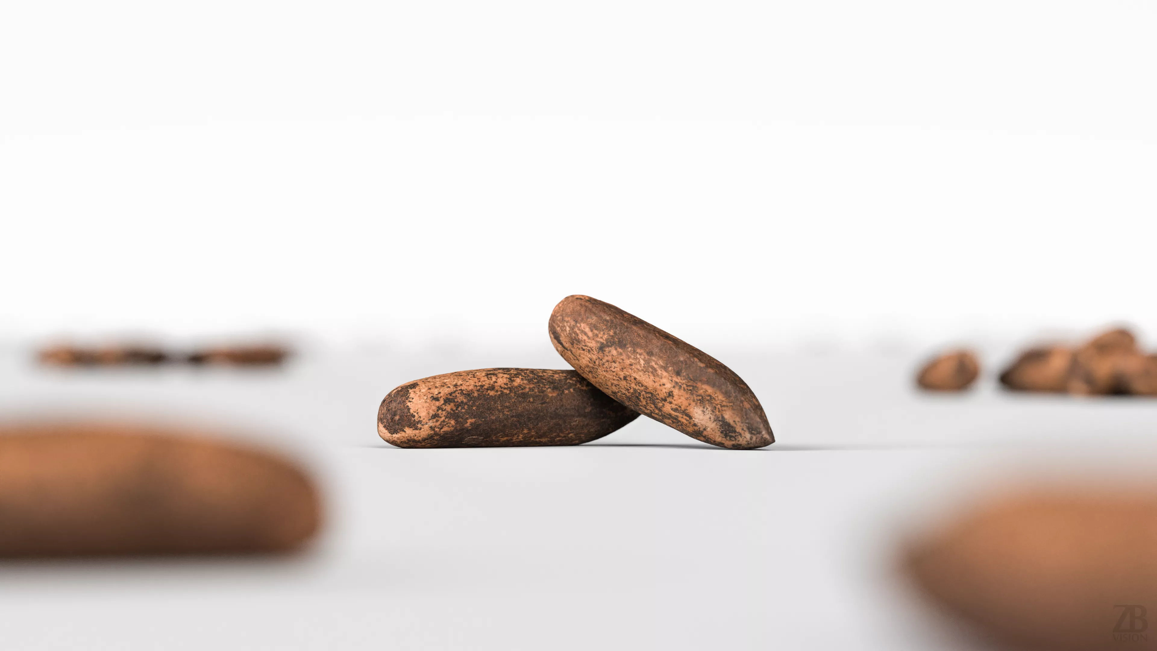 Pine Seed 3D model_1