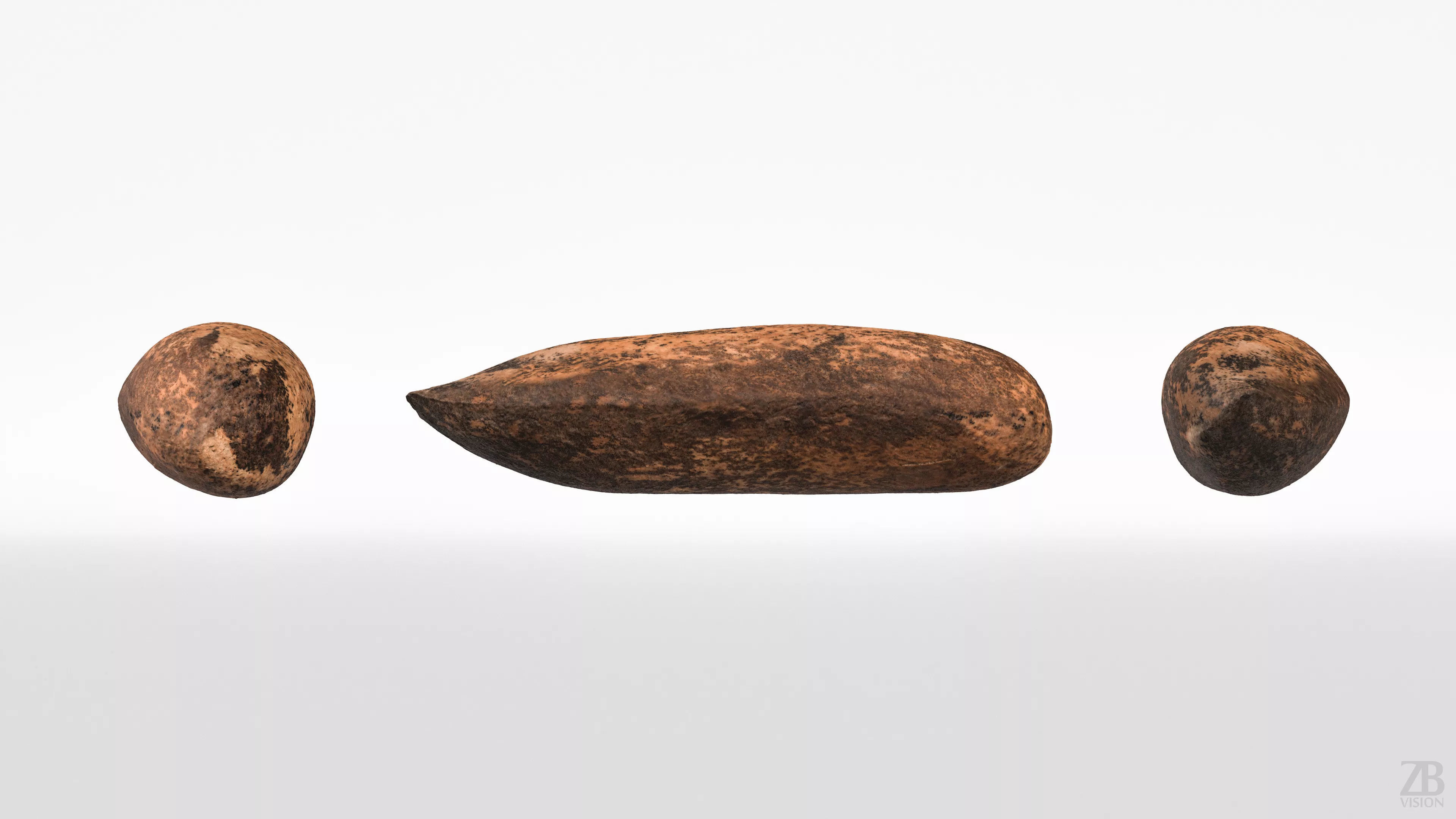 Pine Seed 3D model_4