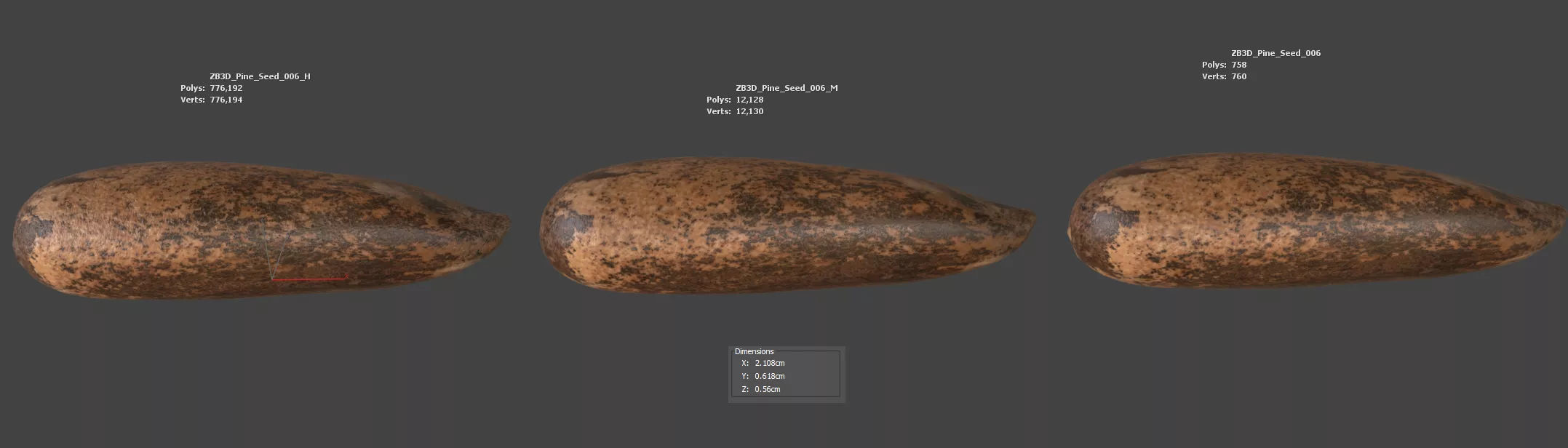 Pine Seed 3D model_5