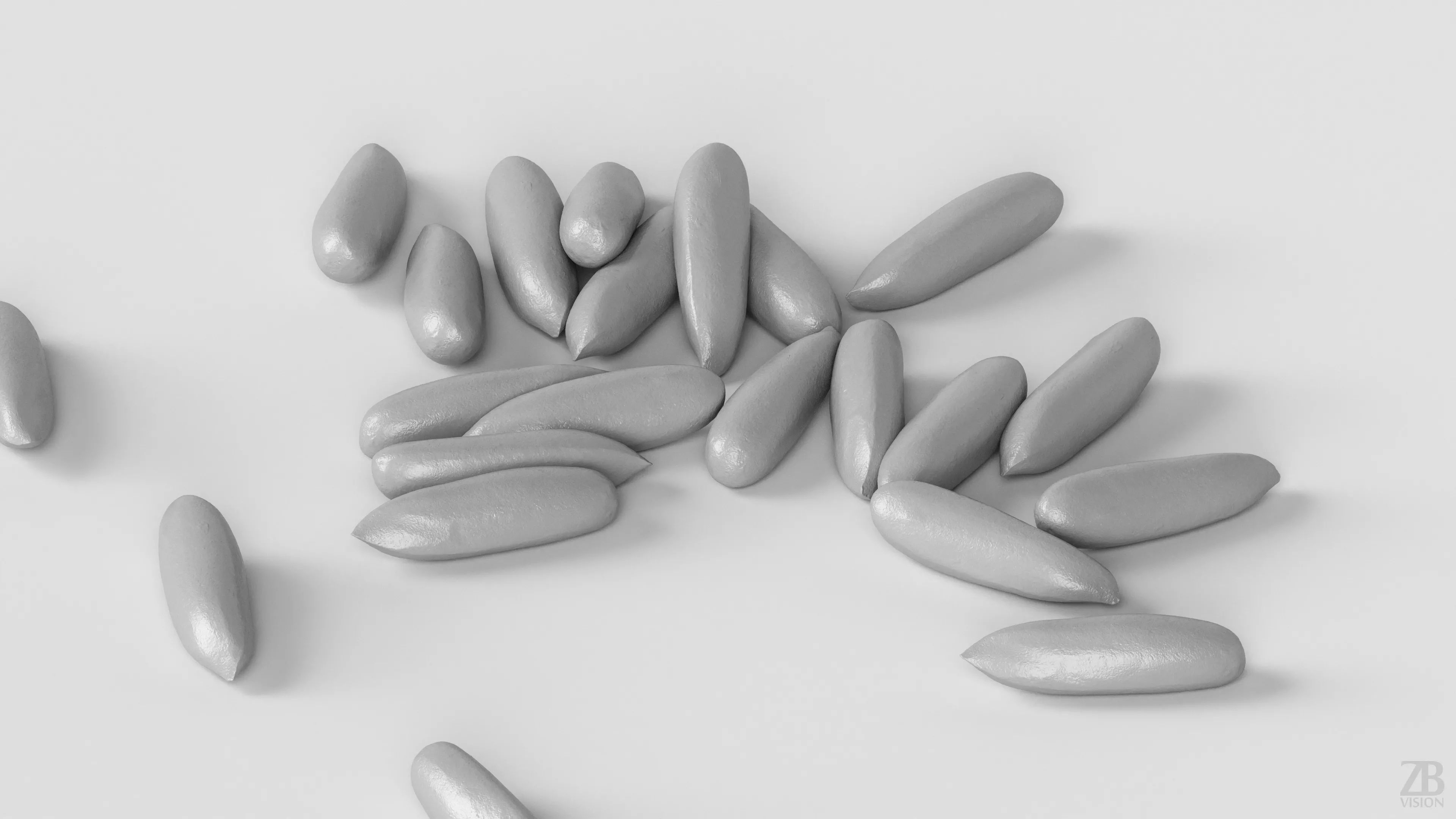 Pine Seed 3D model_3