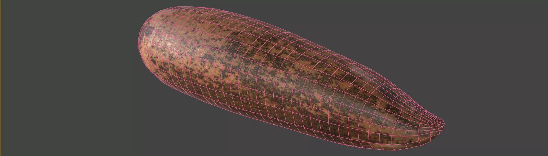 Pine Seed 3D model_6