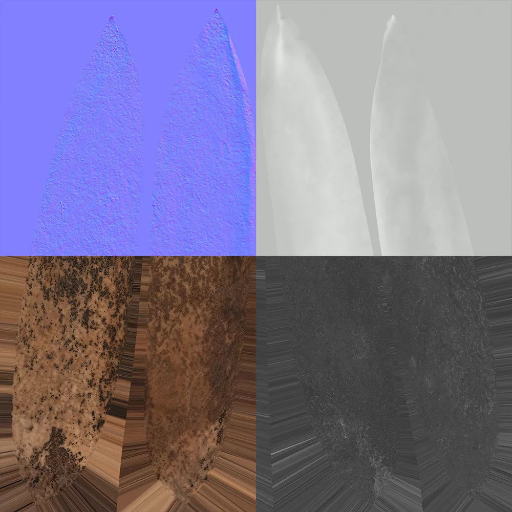 Pine Seed 3D model_8