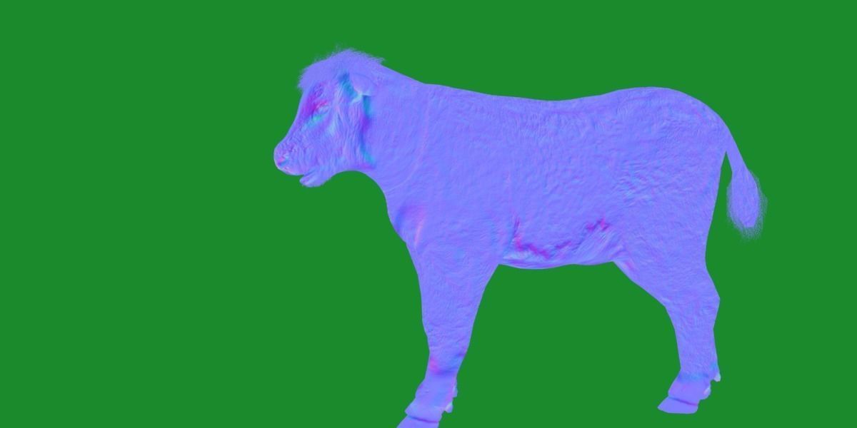 Hereford Cattle Calf Low-poly 3D model_31