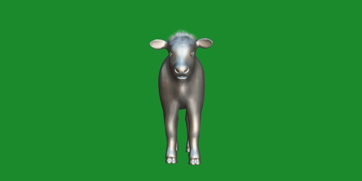 Hereford Cattle Calf Low-poly 3D model_22