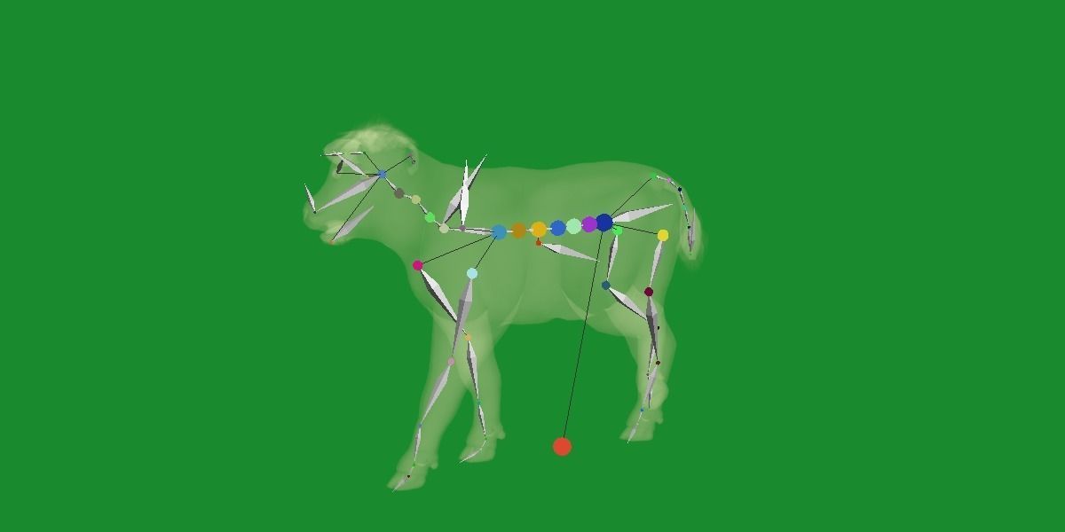 Hereford Cattle Calf Low-poly 3D model_25
