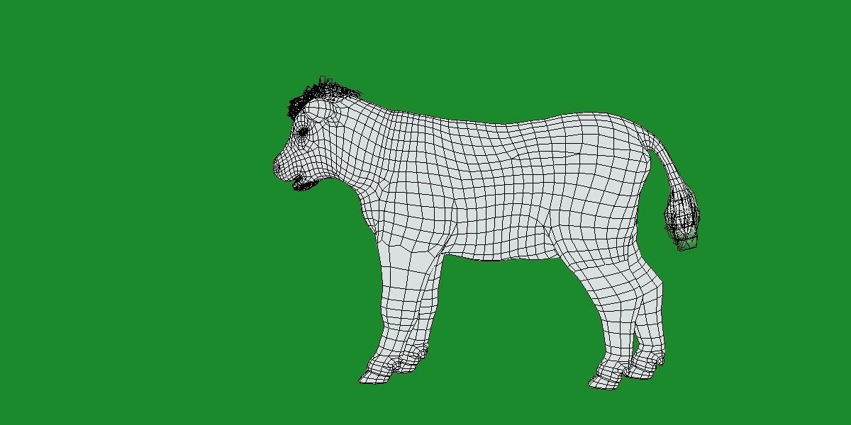 Hereford Cattle Calf Low-poly 3D model_17