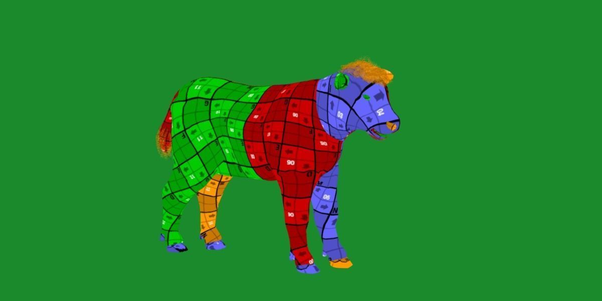 Hereford Cattle Calf Low-poly 3D model_20